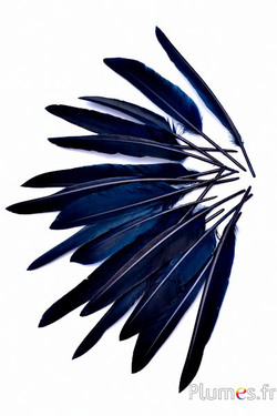 Gans blad - 12-18 cm - zwart-koffie